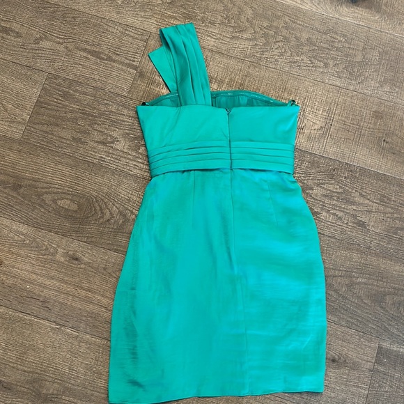 BCBG Dress - Picture 3 of 4